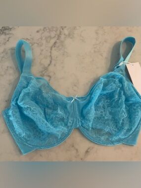 HSAI Bra New Lace Unlined Underwire Turquoise Size 36I
NWT